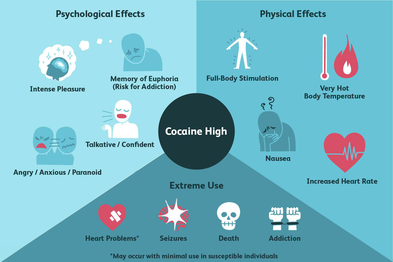 Physical Health Risks Of Long Term Cocaine Use