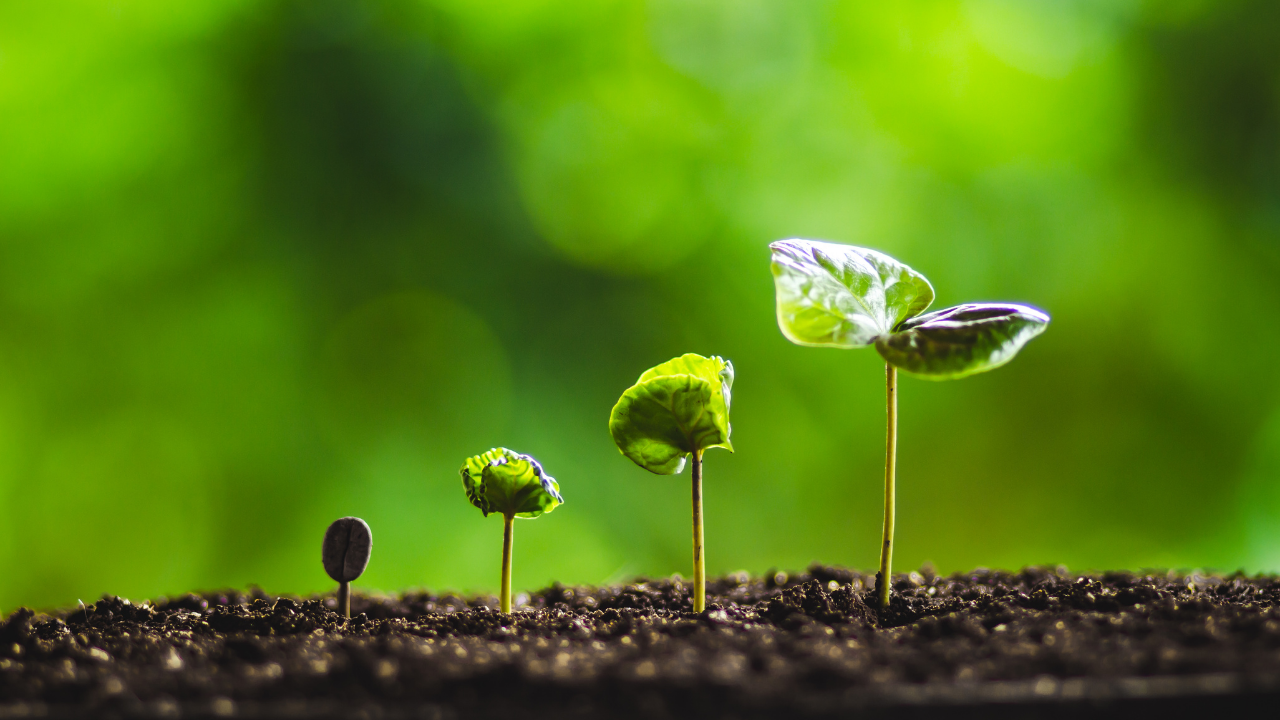 View Relapse As An Opportunity For Growth