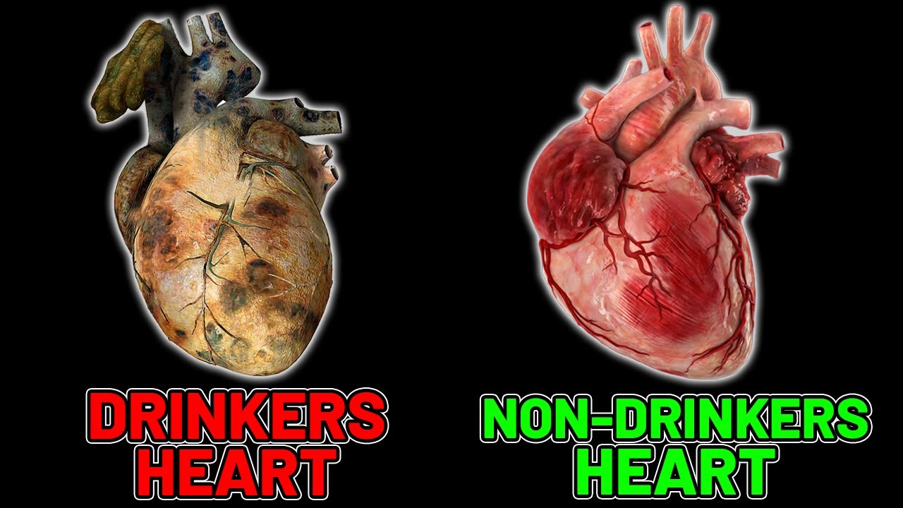 How Alcohol Affects The Heart
