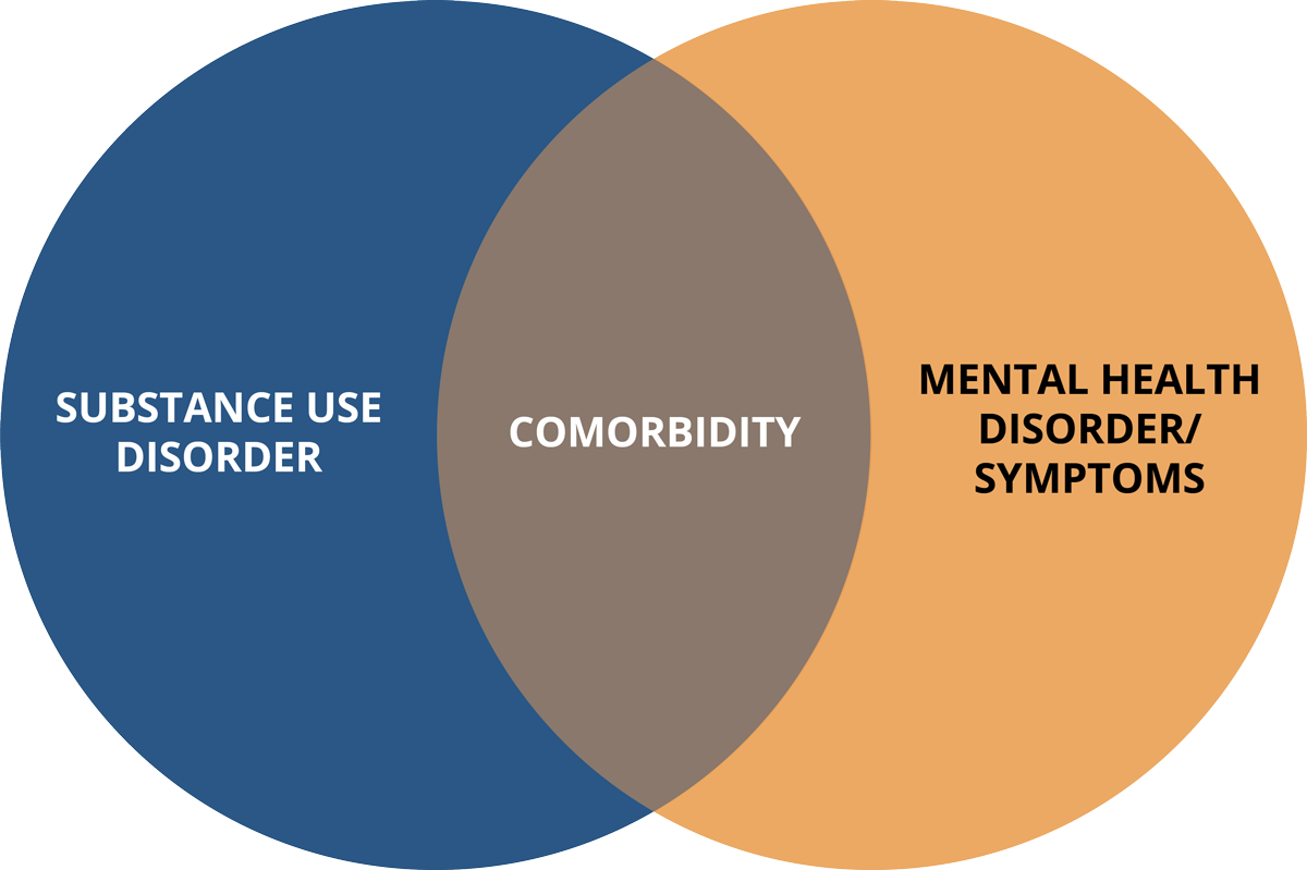 Integrated Approach To Co Occurring Disorders2