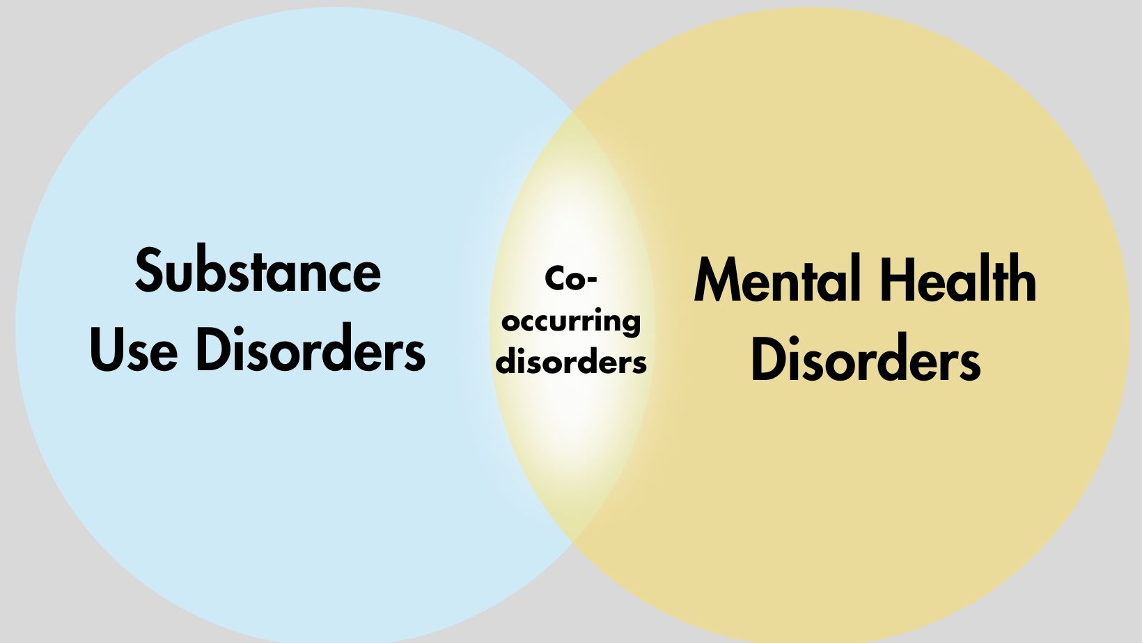 Integrated Approach To Co Occurring Disorders3