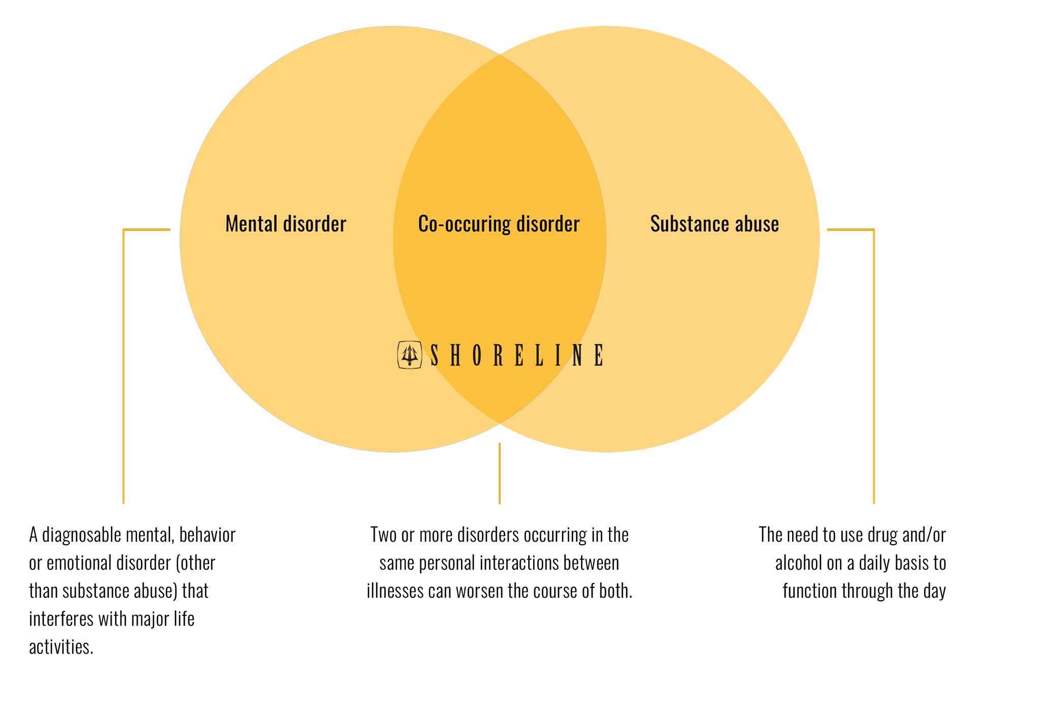 Integrated Approach To Co Occurring Disorders4