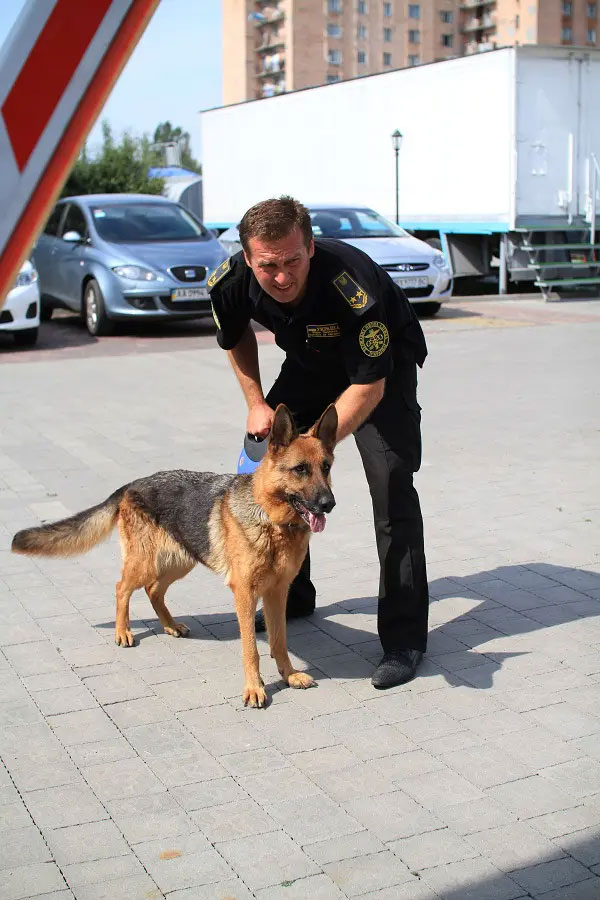 The Human Canine Bond