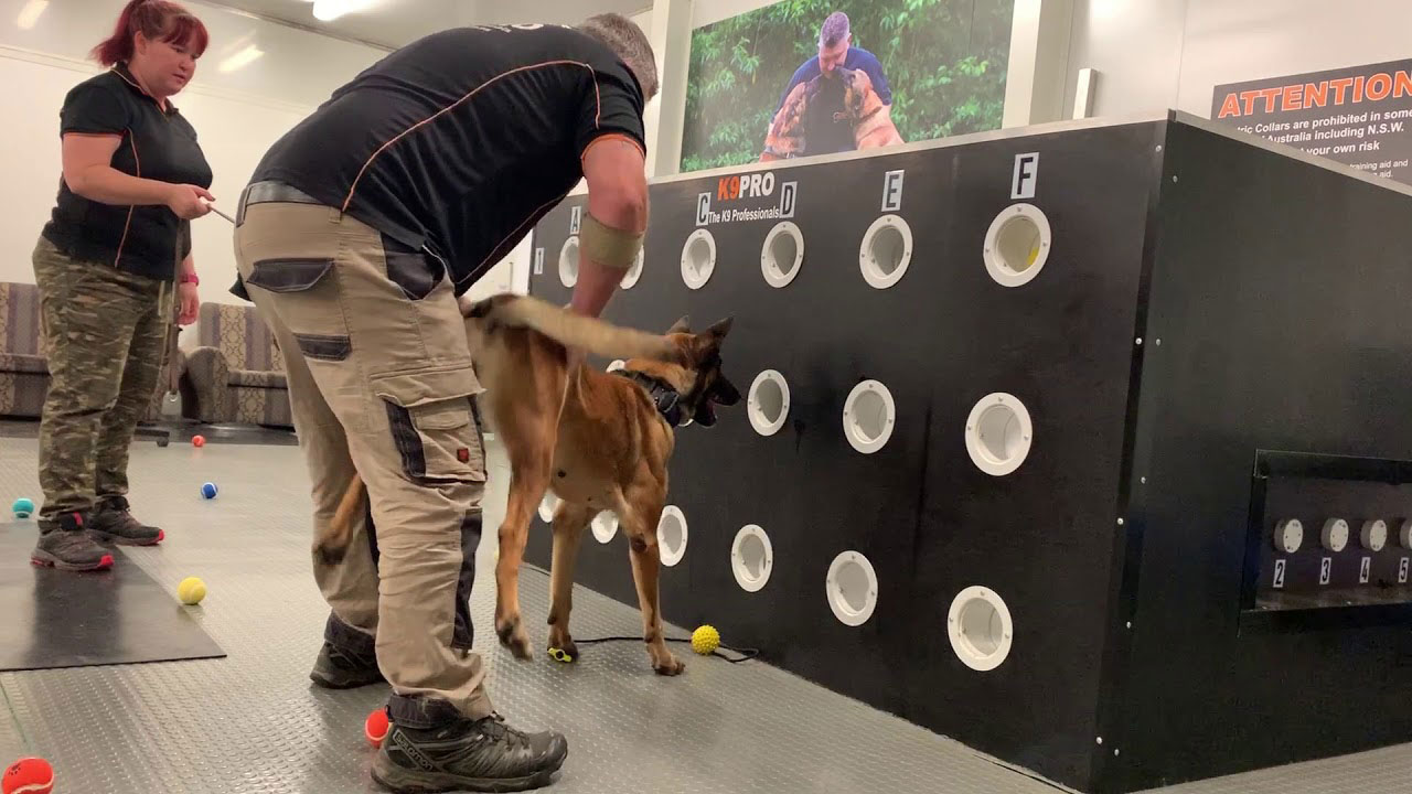 Training And Imprinting