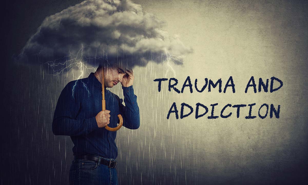 Trauma Informed Healing Programs2