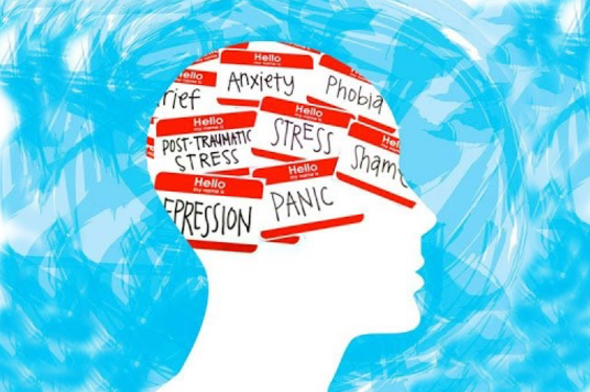 Trauma Informed Healing Programs3