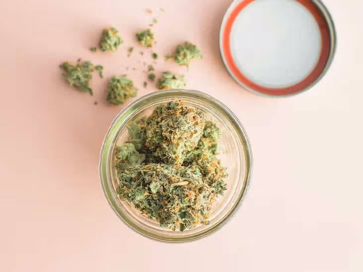 just was salvia can do when users chew or smoke its leaves_00de8821 0622 4498 8357 c4052075672d