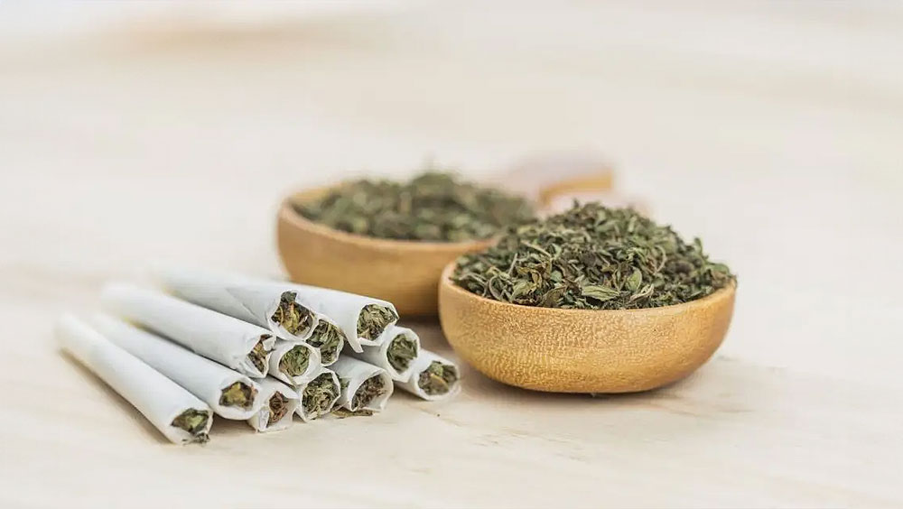 Just Was Salvia Can Do When Users Chew Or Smoke Its Leaves