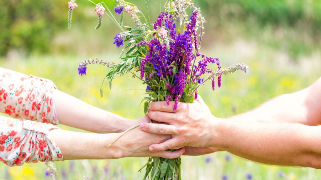 just was salvia can do when users chew or smoke its leaves_b557c48f 2c0a 4ae5 ae0a 660348ae558d