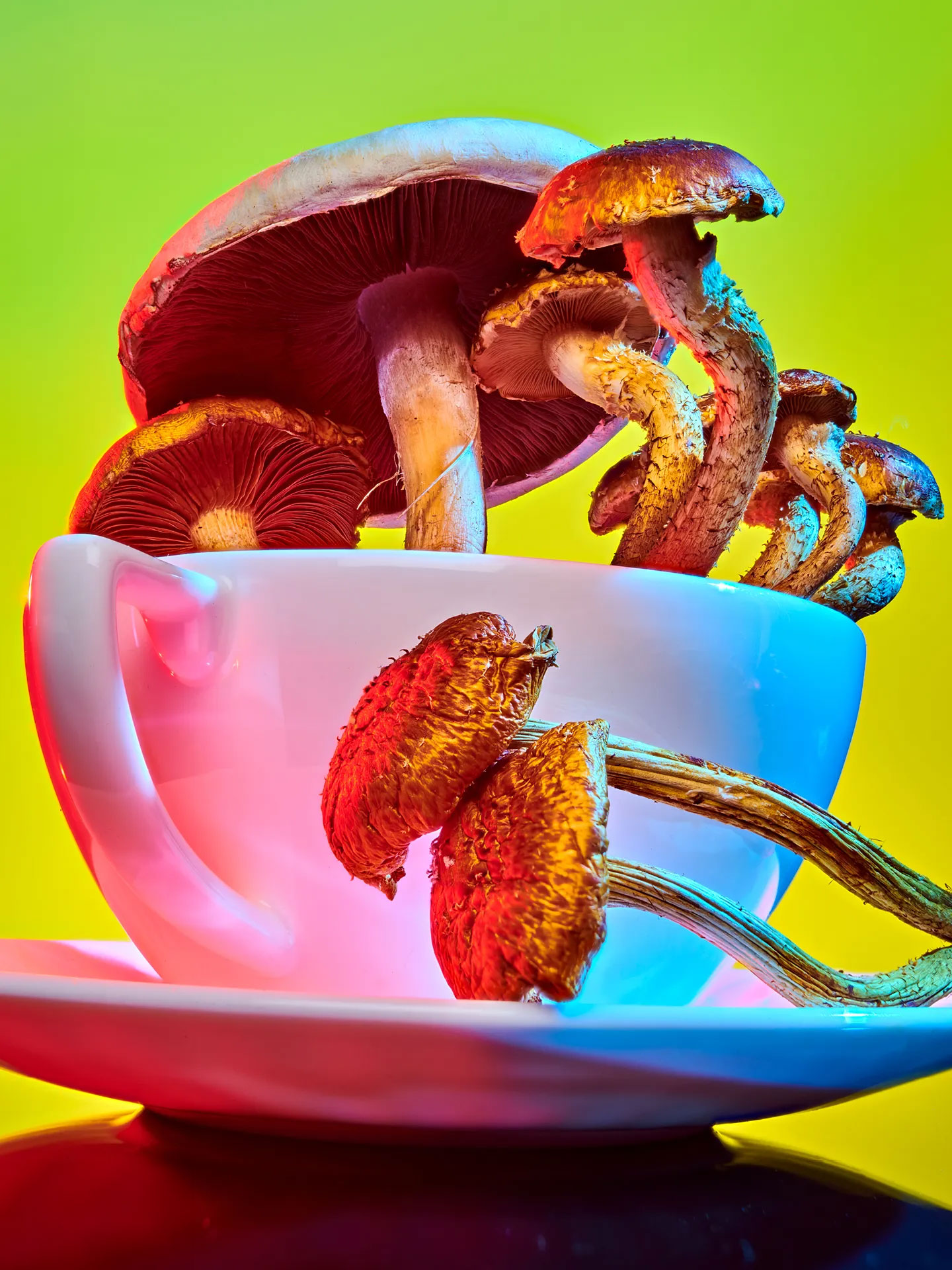 the journey with magic mushrooms trip duration system clearance and addiction risks_3c2803f6 69eb 4e02 9823 08808813d1ce