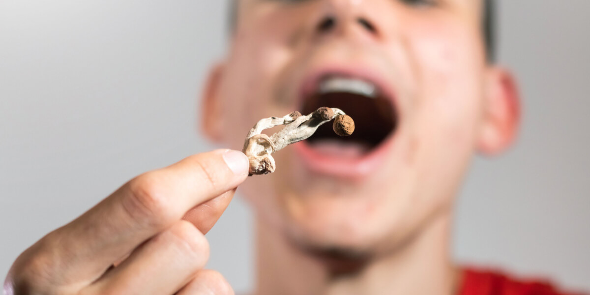 the journey with magic mushrooms trip duration system clearance and addiction risks_5d5234d8 2e74 4b59 9949 2cc582fe1500