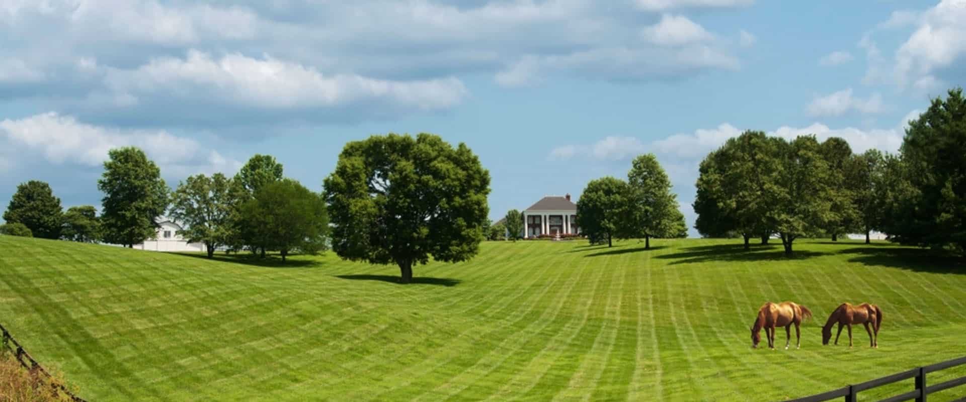 Tranquil And Supportive Environment