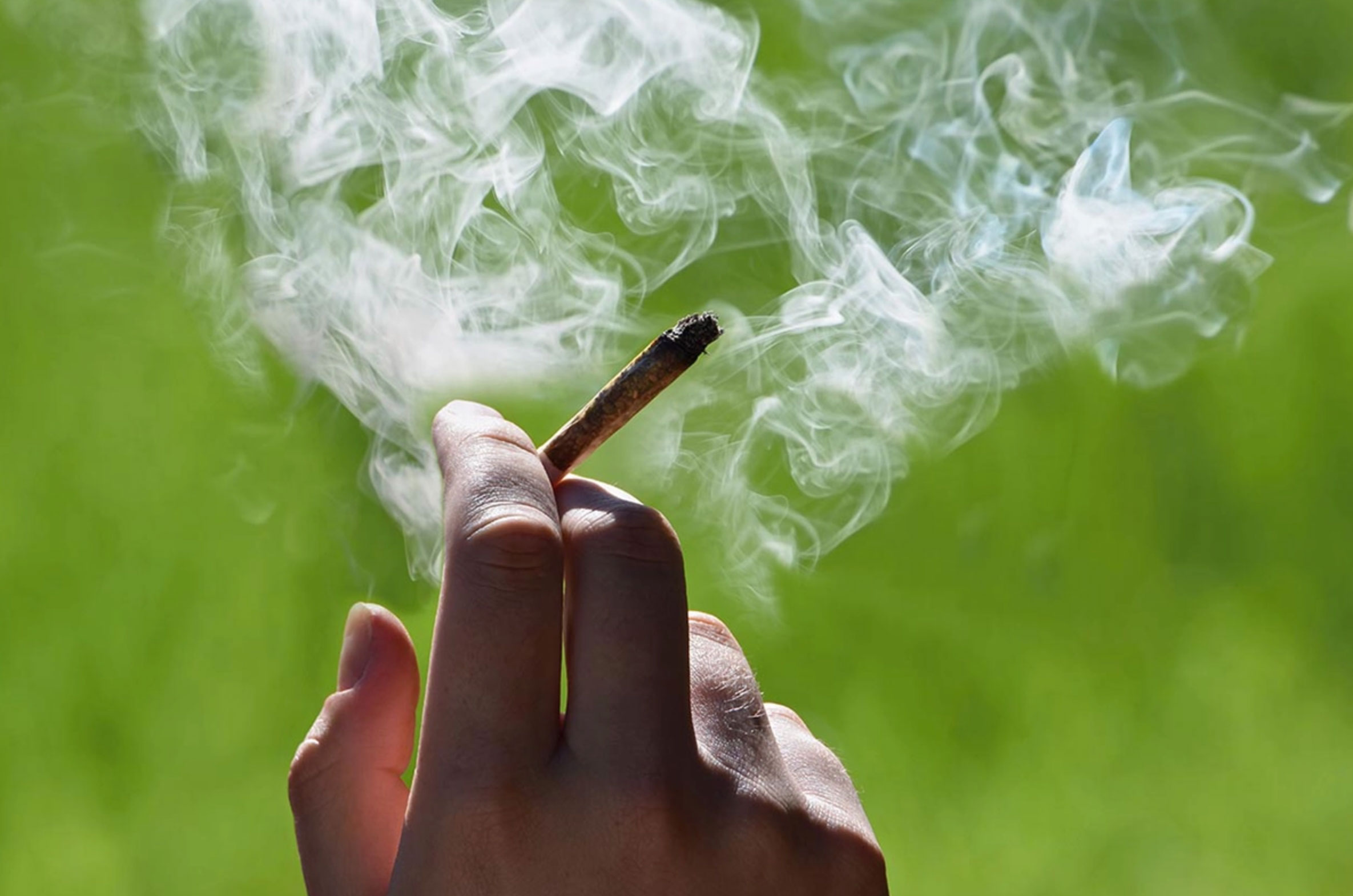understanding marijuana addiction_65c59802 e977 4ff6 baeb 49b57e7e4035